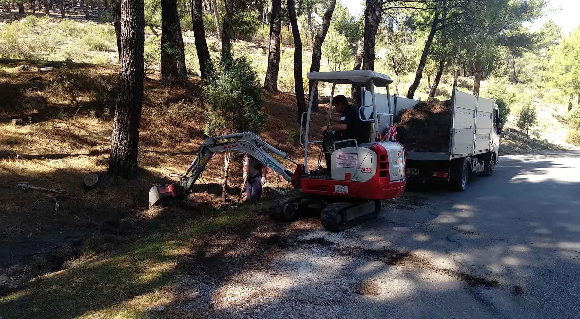 Restauración de ecosistemas en huecos mineros y robledales