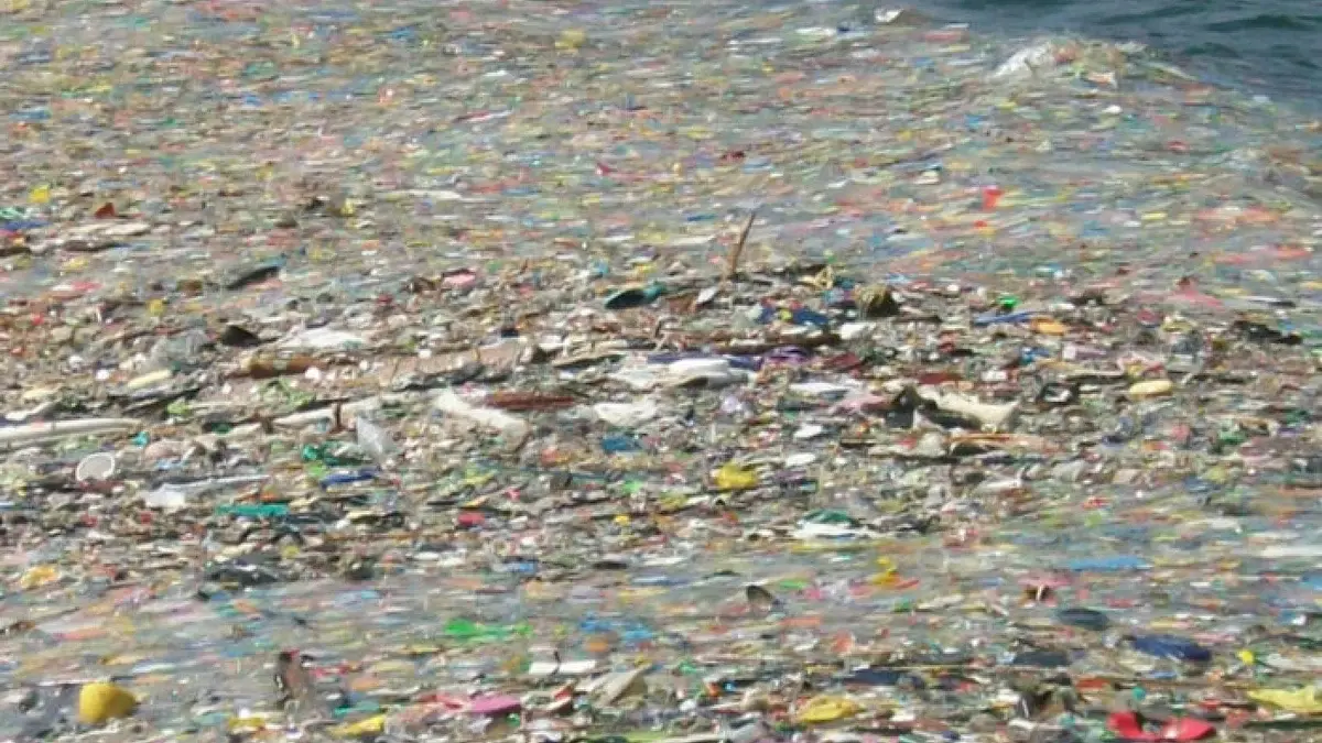 microplastiques en la isla Decepción microplastiques en la isla Decepción