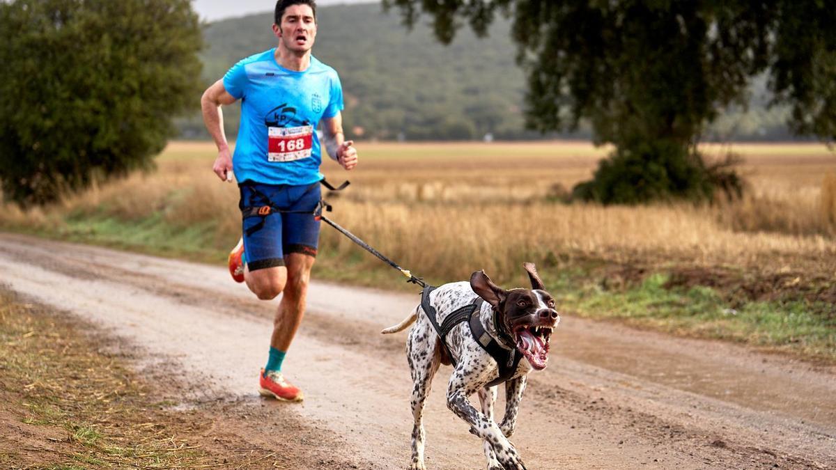 Sport et bien-être avec les chiens