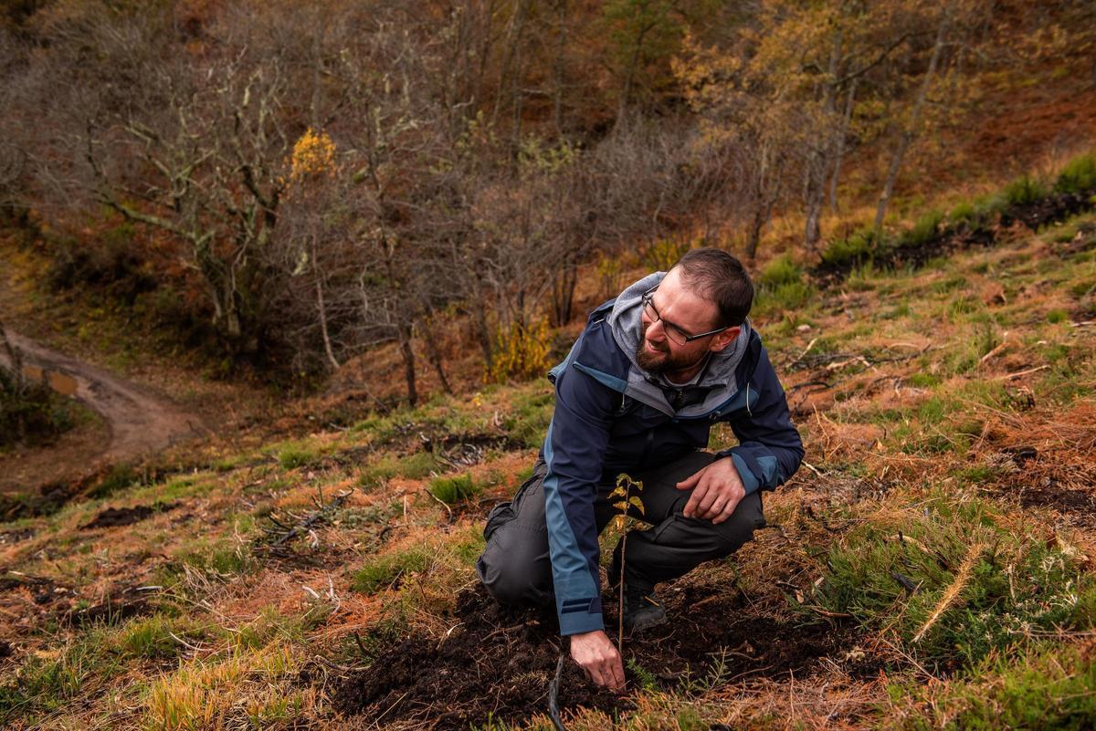 Projets forestiers en Espagne