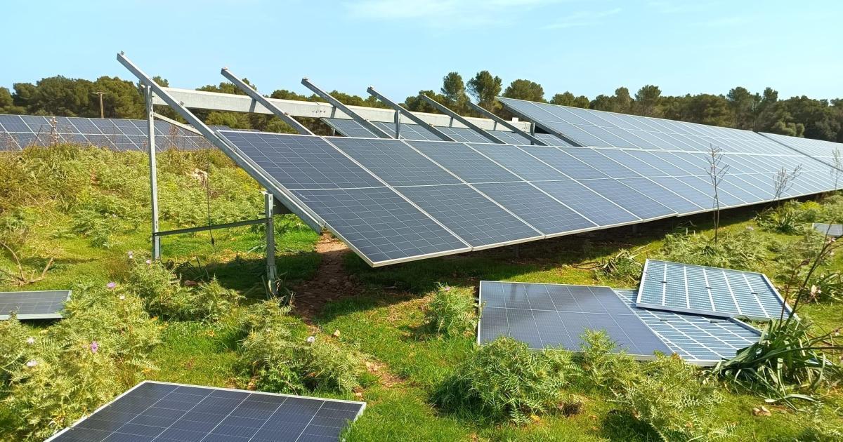 technicien révisant l'installation photovoltaïque