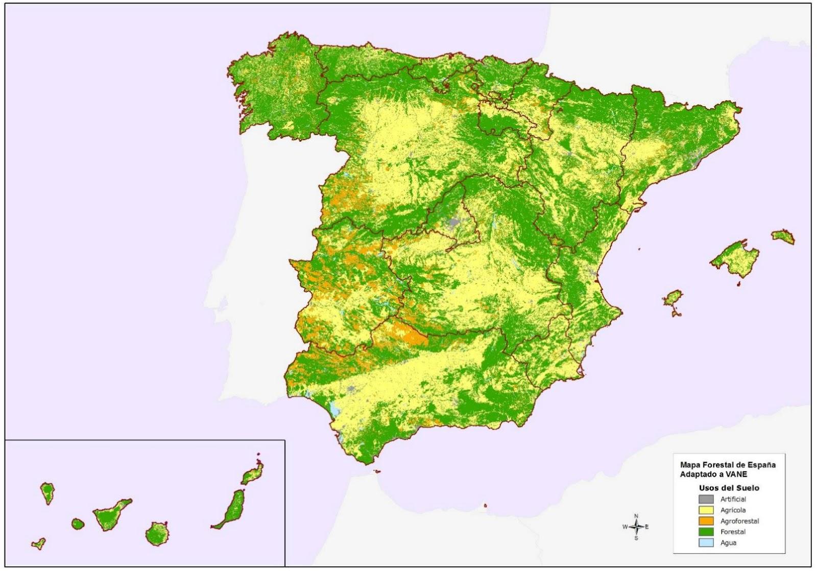 forêt et ressources forestières
