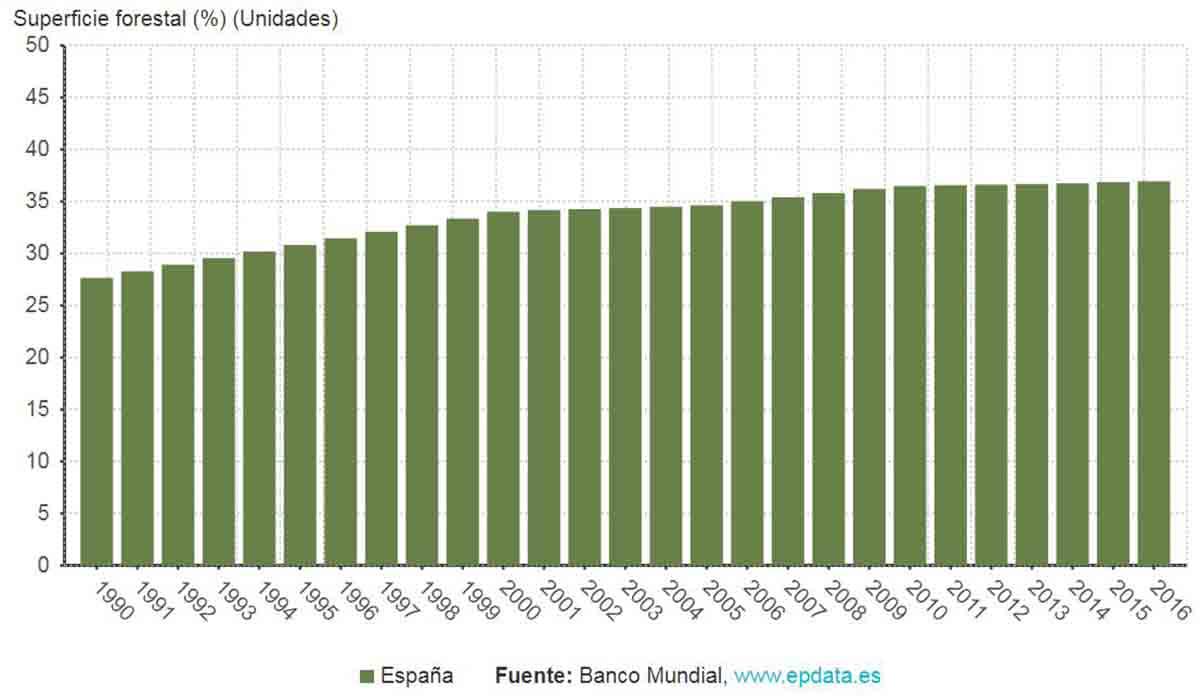 données et graphiques de statistique forestière