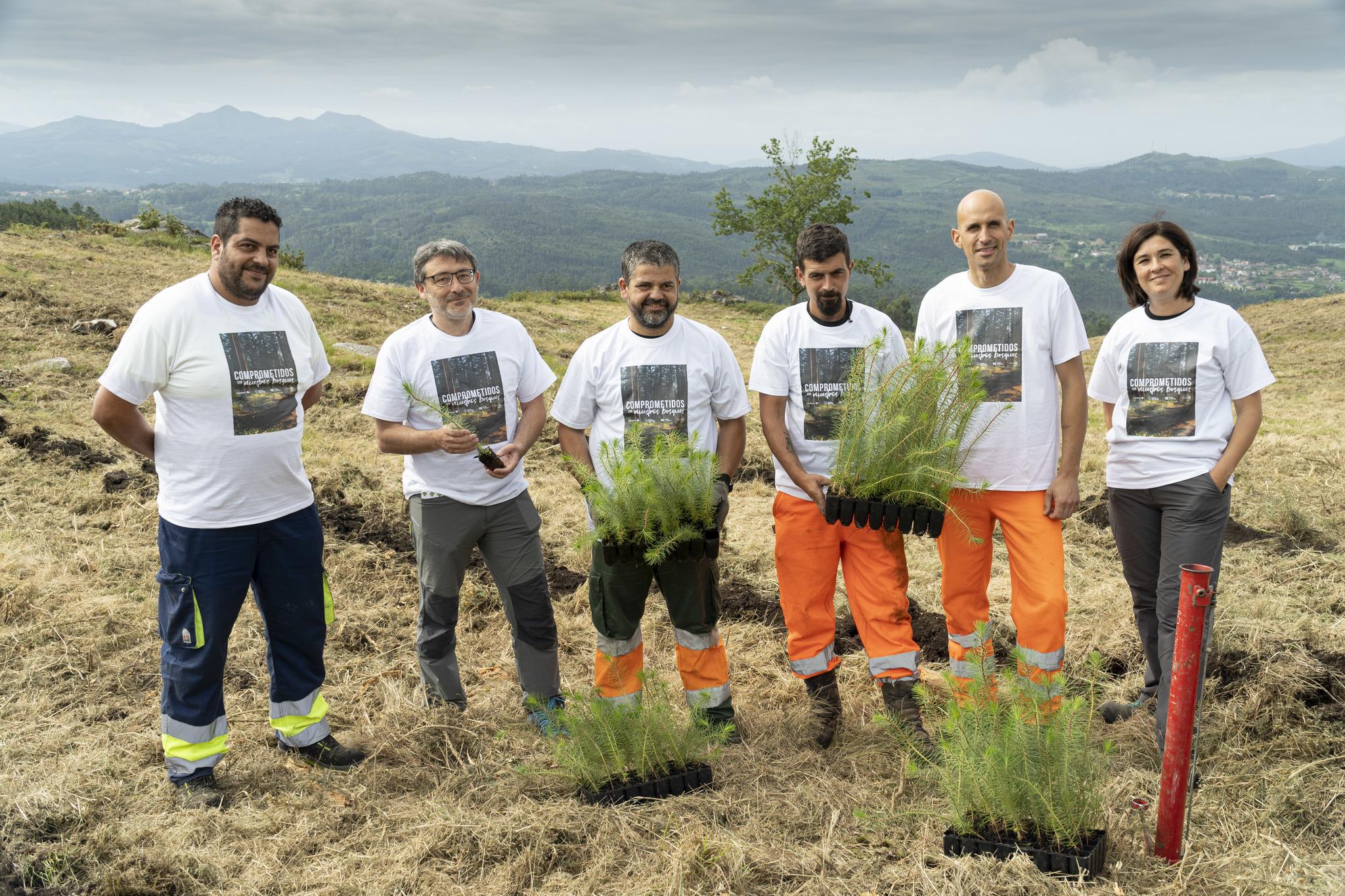 Alliance d'entreprises pour les forêts