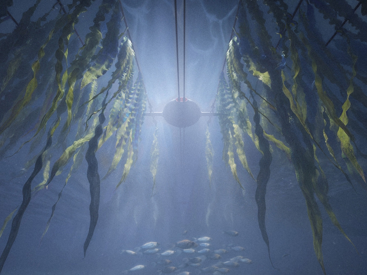 Découvrez Comment un Étudiant a Créé un Bouée Révolutionnaire pour Transformer l’Aquaculture de La Salicorne ! - plare. 1781472309 321 Decouvrez Comment un Etudiant a Cree un Bouee Revolutionnaire pour - plare.