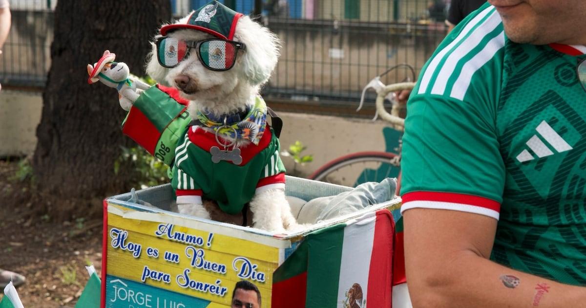 Jorge Rangel avec Osito, le chien viral Jorge Rangel avec Osito sur la bicyclette