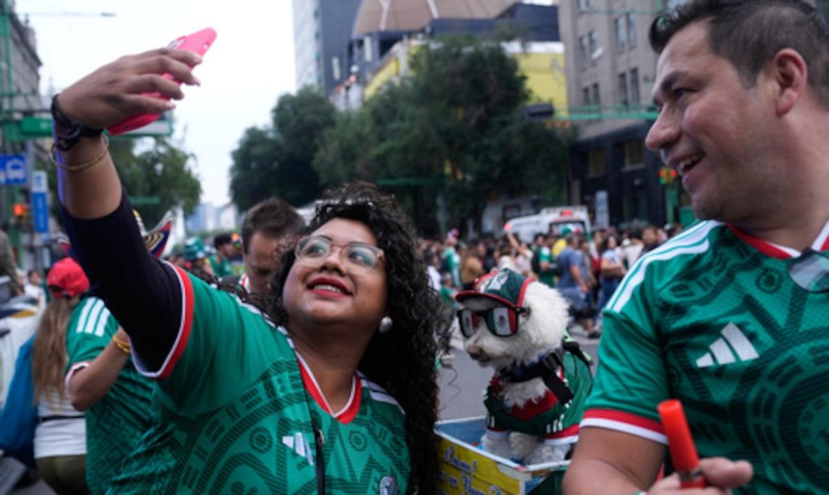 Osito en tenue mondiale Osito avec des lunettes de soleil et un t-shirt de l'équipe