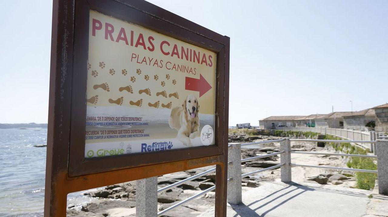 Normas de las playas caninas Cartel informativo en una playa para perros