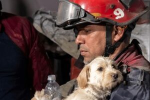 Solidarité internationale : chiens sauveurs en Venezuela après le tremblement de terre - plare. Missions de recherche d'animaux au Venezuela